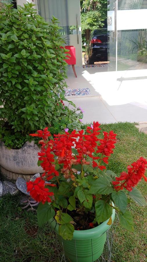 Casal Ostara Begonia Hotel Alto Paraíso de Goiás Exterior foto